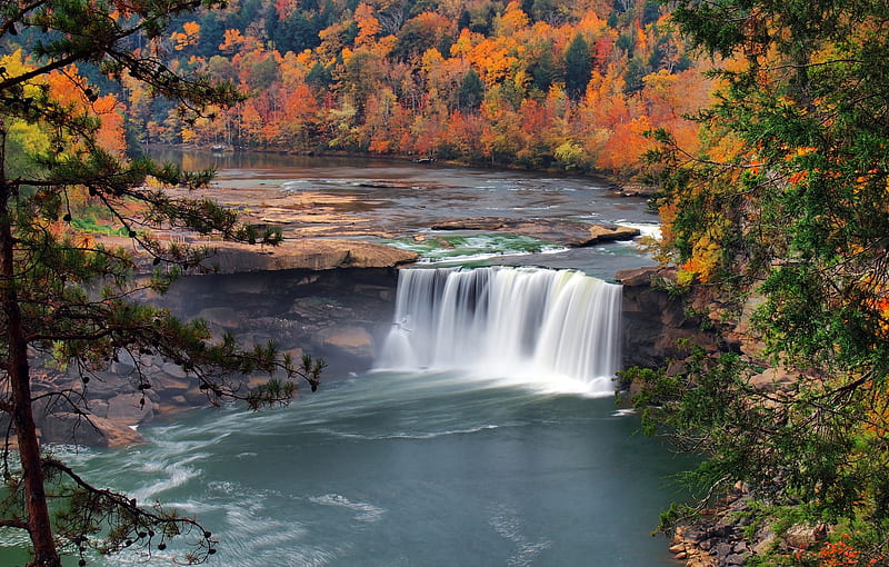 Cumberland Falls, fall, USA, Kentucky, beautiful, America, water, waterfall, nature, US, falls, HD wallpaper