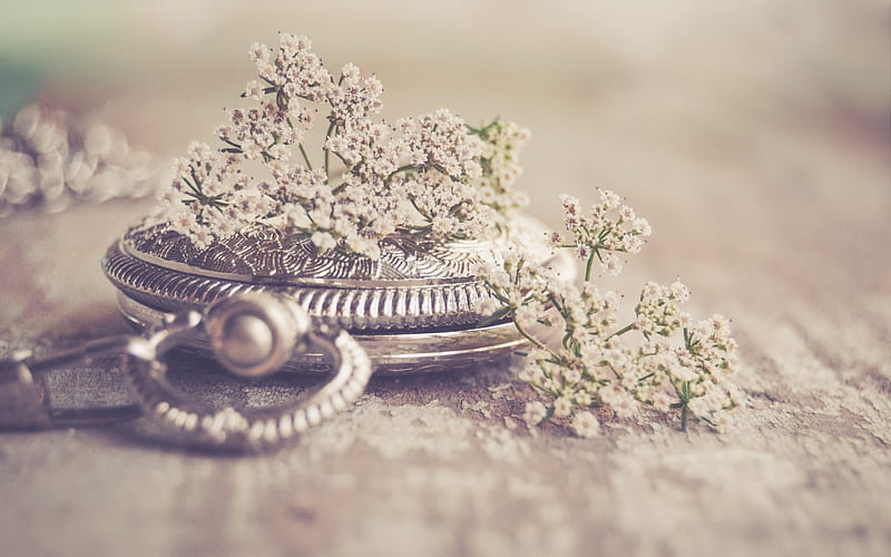 old pocket watch, bokeh, time concepts, retro style, silvery clock, wild flowers, HD wallpaper