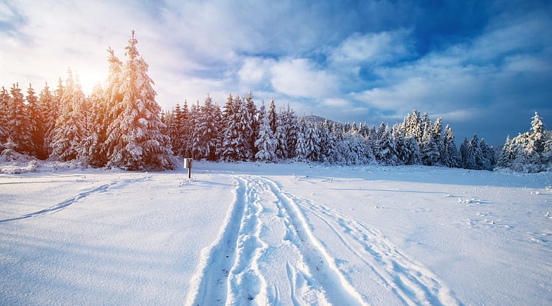 Winter Ultra, Seasons, Winter, landscape, scenery, trail, HD wallpaper