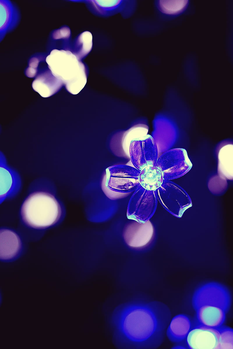 Download Light Purple Aesthetic Chamomile Flowers Wallpaper | Wallpapers.com