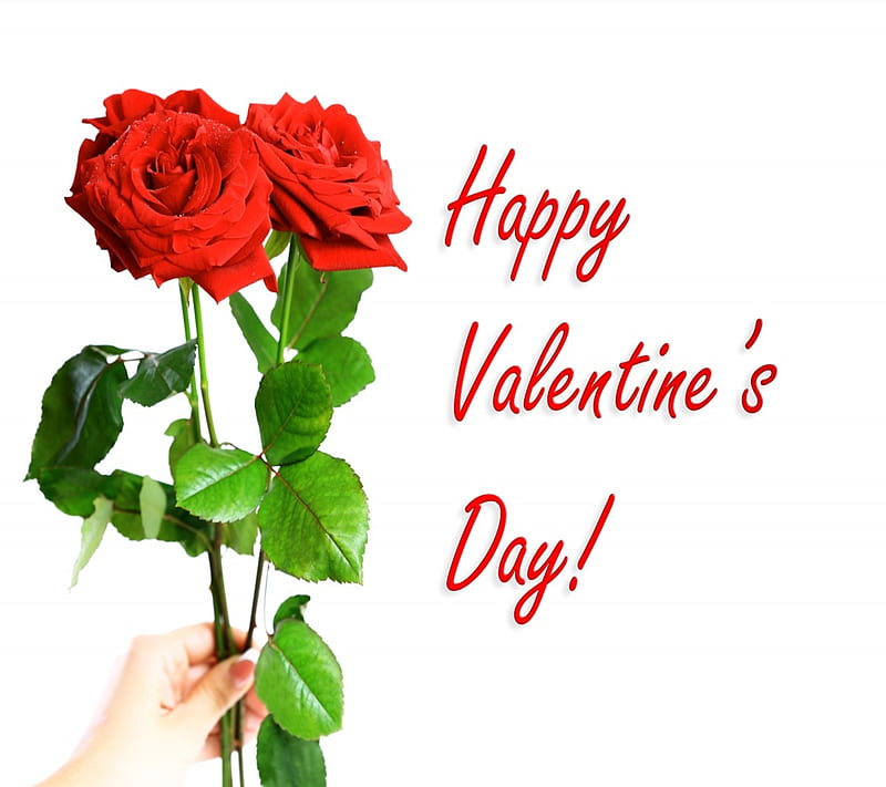 Happy valentines, day, love, rose, HD wallpaper | Peakpx