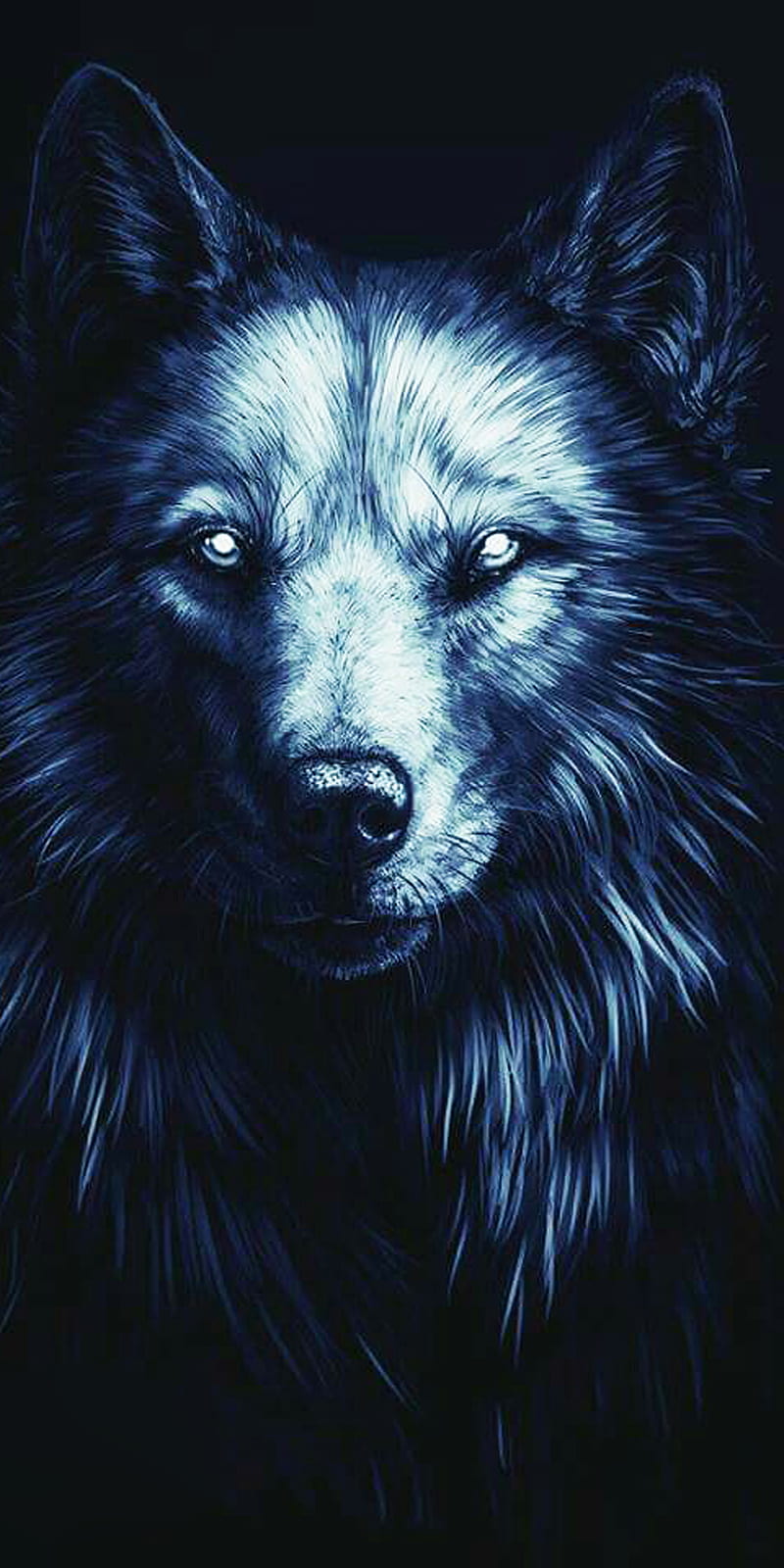 Wolf, dark, HD phone wallpaper | Peakpx