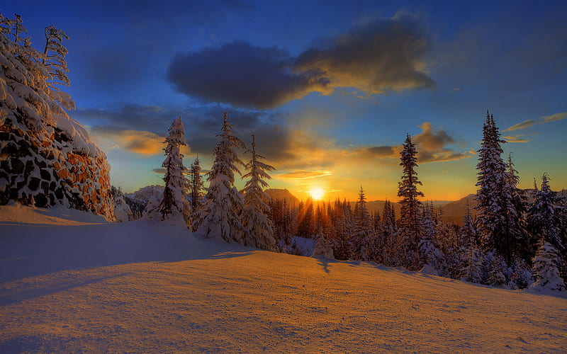 Beautiful Winter Sunset, forest, summit, sun, sunset, trees, winter, skies, mountain, nature, sunrise, HD wallpaper