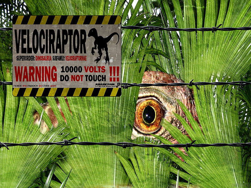 Velociraptor, park, 10000watts, dino, HD wallpaper