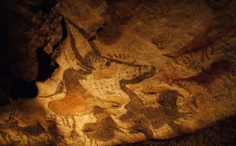 Animals in the Caves of Lascaux, lascaux, wonderful, stunning, religious, spiritual, caveman, animism, nice, art parietal, colored, homo sapiens, cool, france, paleolithic, neanderthal, awesome, history, caves, bulls, wall art, bonito, old, cave animal, graphy, stone, wild, painting, cavemen, prehistory, bull, animals, amazing, ancient, colors, drawing, prehistoric, prehistoire, HD wallpaper