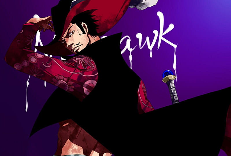 Dracule Mihawk, purple background, male, mihawk, mihawk dracule, pirate, one piece, hat, coat, anime, lone, HD wallpaper