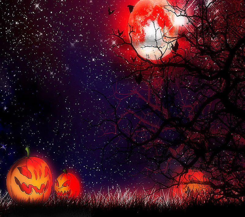 Halloween Night, halloween, night, HD wallpaper | Peakpx