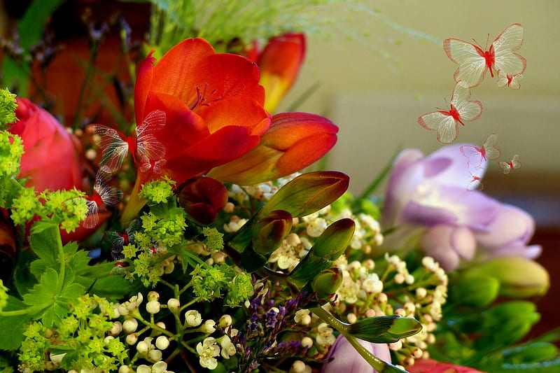 Flowers, flower, sia, red, green, HD wallpaper