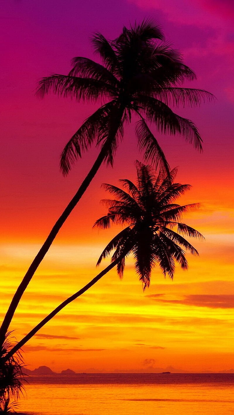 Vibrant Sunset, sunset, vibrant, HD phone wallpaper