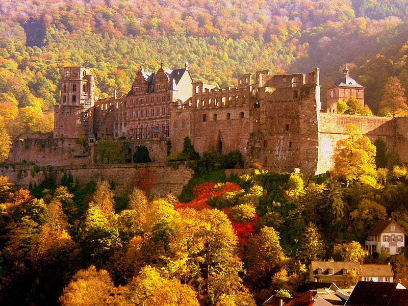 Heidelberg Castle, building, forest, autumn, germany, trees, landscape, HD wallpaper