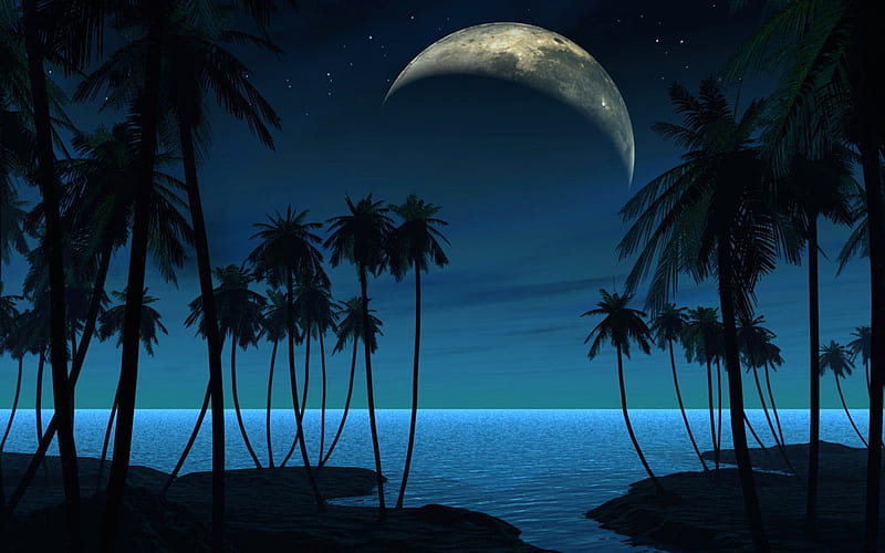 Tropical night, moon, luminos, palmieri, black, palm, silhouette, sea, tree, moon, water, planet, summer, tropical, blue, night, HD wallpaper