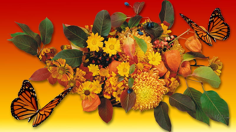 Autumn Color Blooms, autumn, leaves, gold, orange, dahlias, flowers, butterflies, fall, bouquet, garden, HD wallpaper