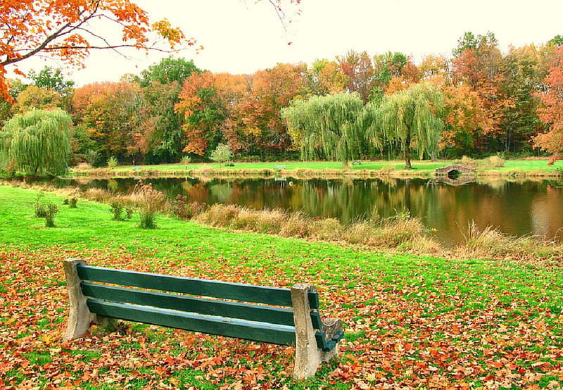 Autumn park., fall, autumn, seat, park, lake, leaf, tree, bridge, colour, HD wallpaper