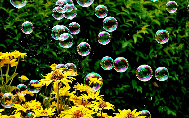 summer in the air, summer, bubbles, flowers, green, HD wallpaper