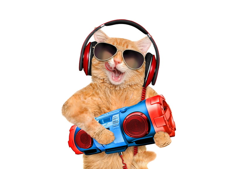 Funny cat, red, orange, music, ginger, headphones, cat, tongue, card, sunglasses, radio, summer, funny, pisica, blue, HD wallpaper