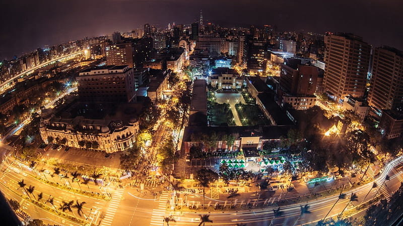 cityscape in fisheye at night, boulevard, fisheye, city, lights, night, palms, HD wallpaper