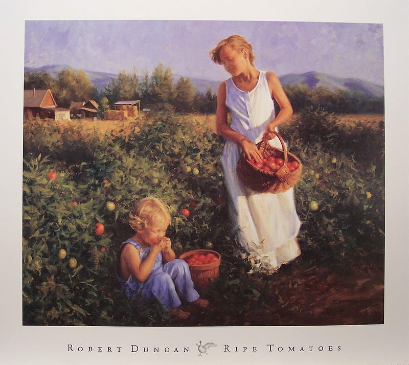 Ripe Tomatoes, art, consuming, mom, farm, tomatoes, basket, painting, fields, son, HD wallpaper