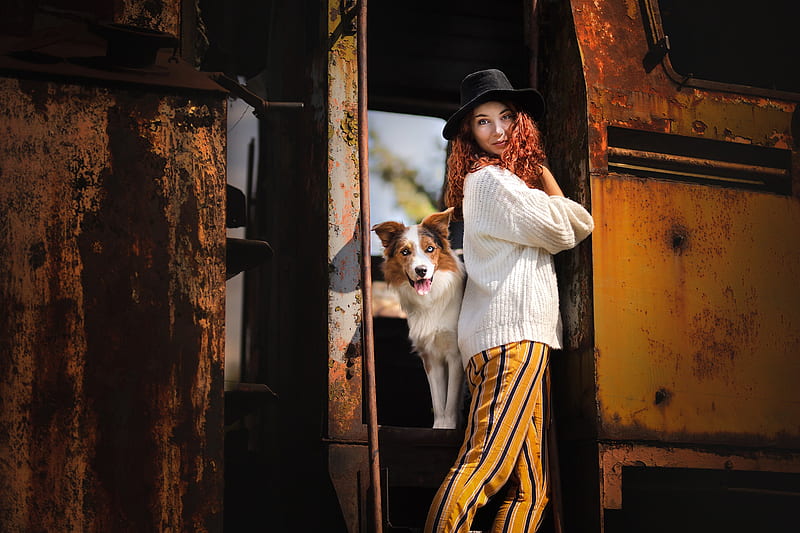 Models, Model, Border Collie, Dog, Girl, Hat, Woman, HD wallpaper