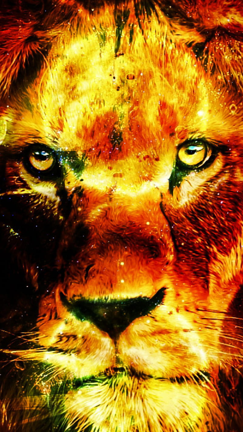 LION SUN GALAXY , family, lioness, lions, HD phone wallpaper