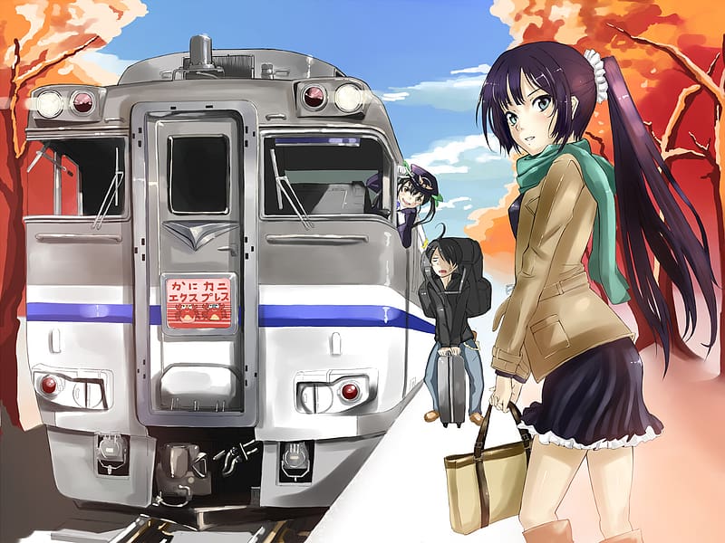 Anime, Black Hair, Monogatari (Series), Hitagi Senjōgahara, Mayoi Hachikuji, Koyomi Araragi, HD wallpaper