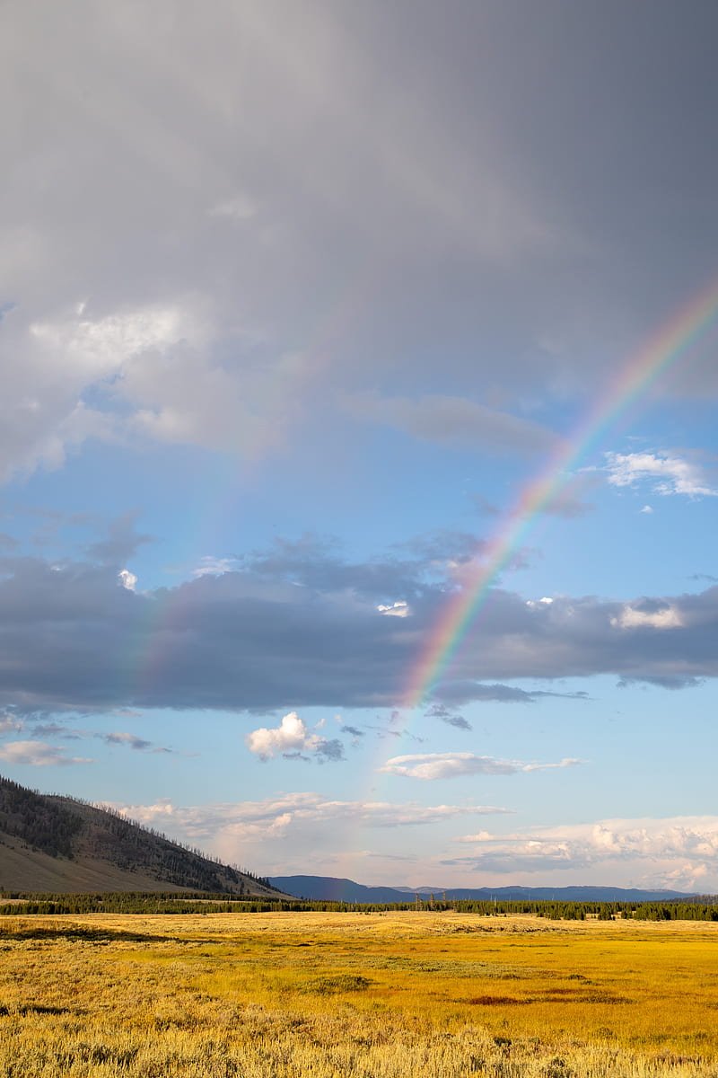 field, clouds, rainbow, nature, HD phone wallpaper