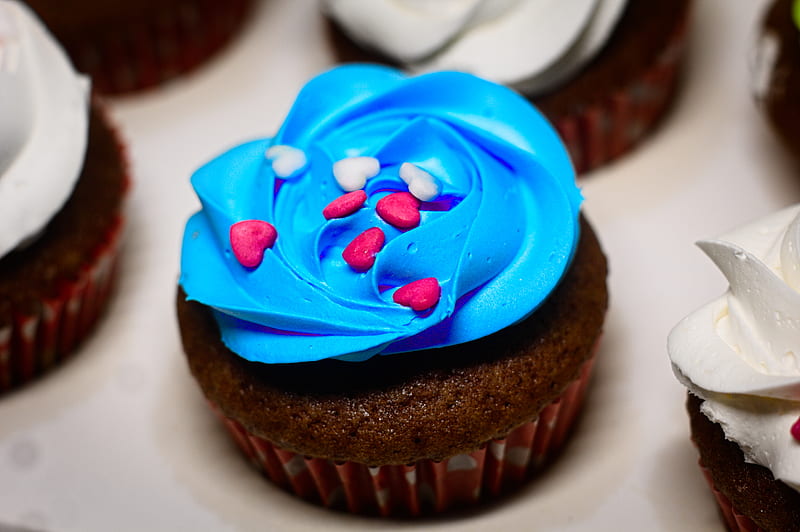 cupcake, cake, cream, pastries, topping, dessert, blue, HD wallpaper