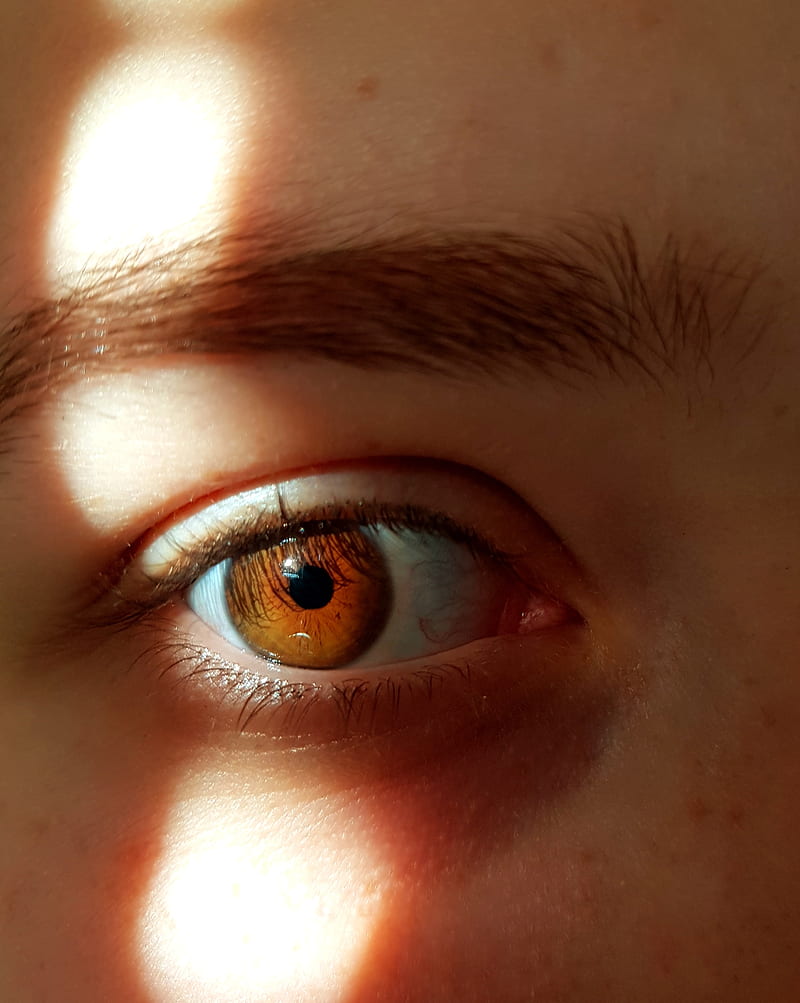 Eye, sun, HD phone wallpaper | Peakpx