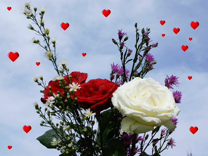 Rosas con amor, rojo, ramo, flores, rosas, flores, blanco, corazones, Fondo  de pantalla HD | Peakpx