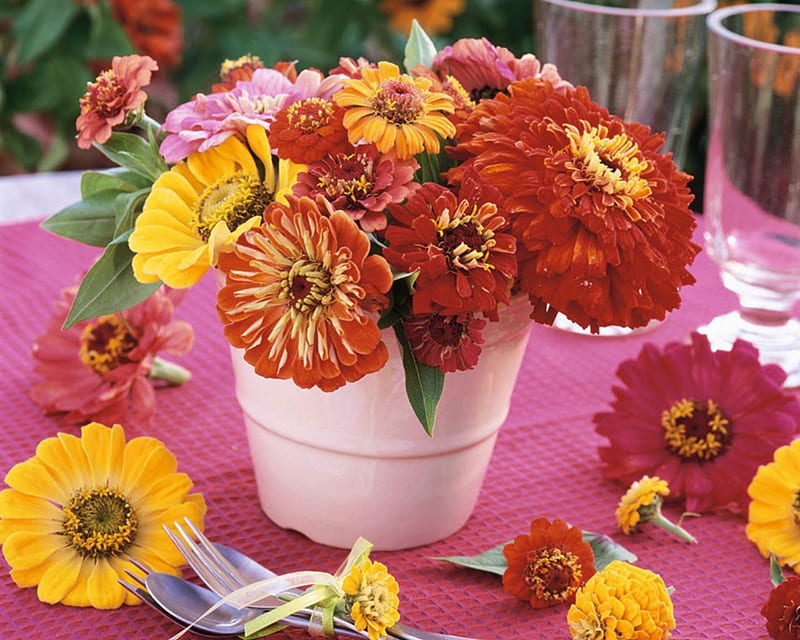 Beautiful Flowers, table, flowers, petals, pot, HD wallpaper Beautiful Flowers, table, flowers, petals, pot, HD wallpaper