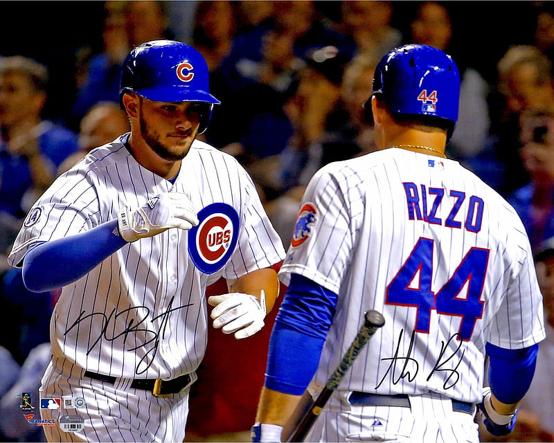 HD wallpaper Chicago Cubs Major League Baseball Anthony Rizzo Javier  Báez  Wallpaper Flare