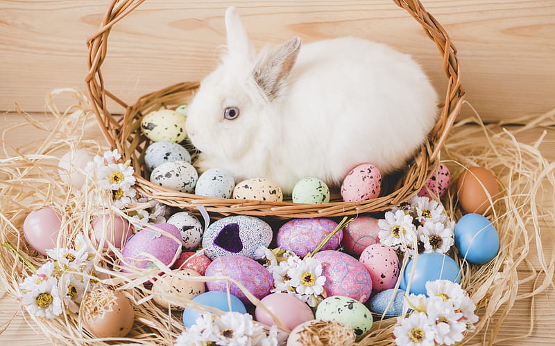 Easter, white rabbit, easter basket, spring, religious holidays, Easter eggs, HD wallpaper