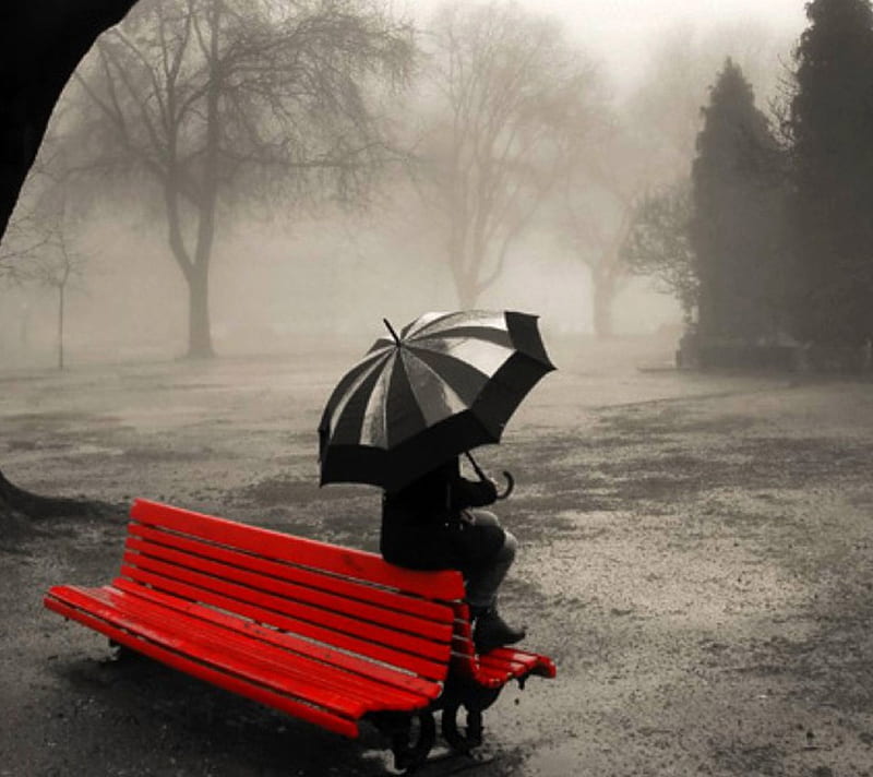 Rainy day, red, bench, umbrella, black, man, lonely, rainy, day, sitting, rain, HD wallpaper