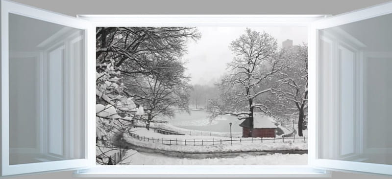 WINTER SCENE, window, snow, trees, scenery, winter, HD wallpaper
