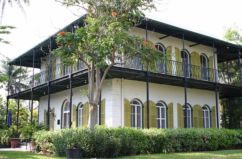 Ernest Hemingway's House, Ernest, Key West, Hemingway, Florida, HD wallpaper