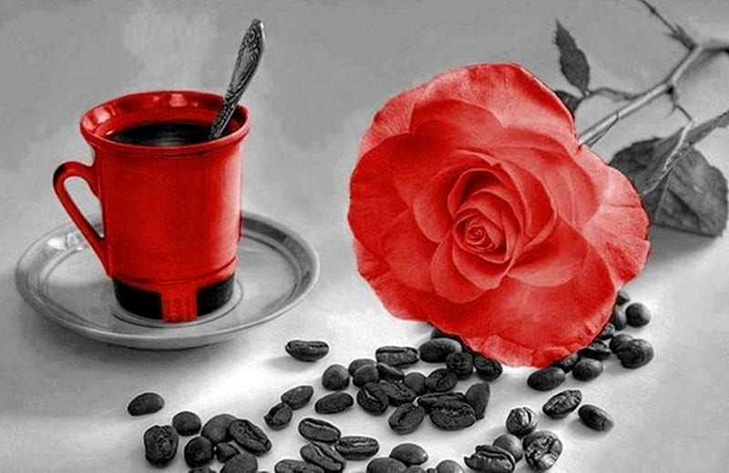 morning coffee, red, still life, graphy, coffee, flowers, beauty, roses, HD wallpaper