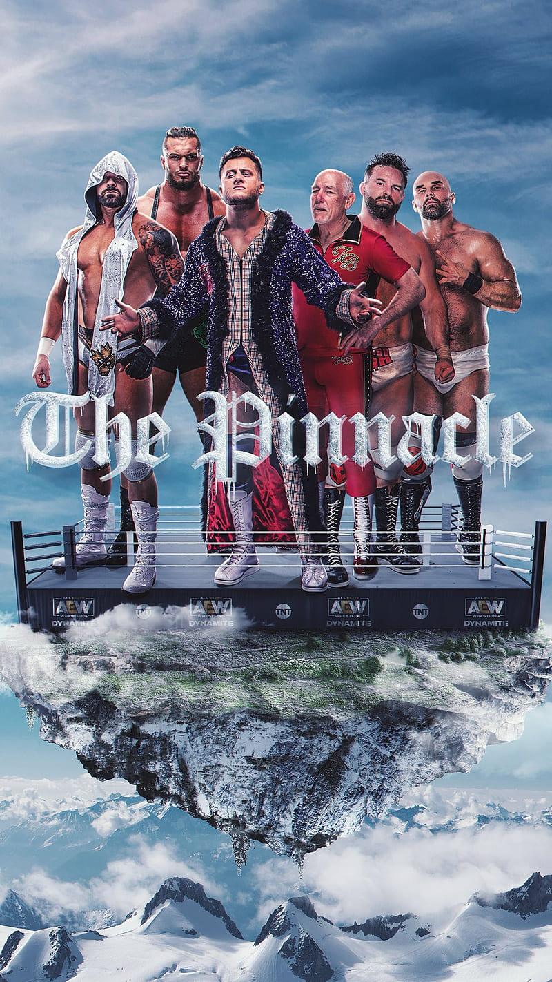 The Pinnacle AEW, pro wrestling, HD phone wallpaper