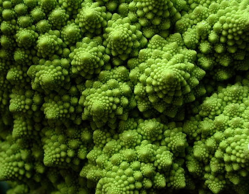 Broccoli, sureal art, green, HD wallpaper