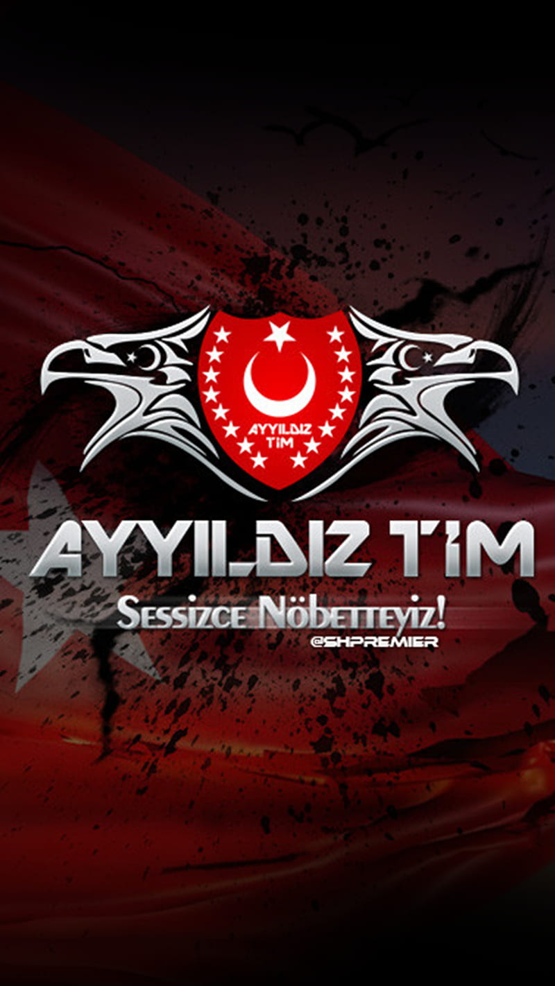 Ayyildiz Tim, bay, flag, cavaliers, cowboys, navy, ravens, turk, turk bayragi, HD phone wallpaper