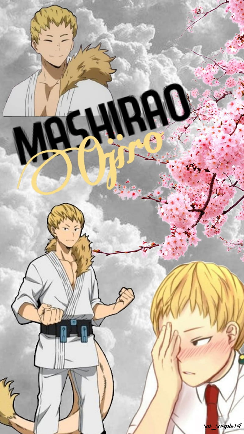 Mashirao Ojiro, mha, my hero academia, HD mobile wallpaper | Peakpx