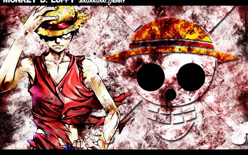 Monkey D. Luffy, merry, berry, luffy, straw hat pirates, skull, captain, one piece, HD wallpaper