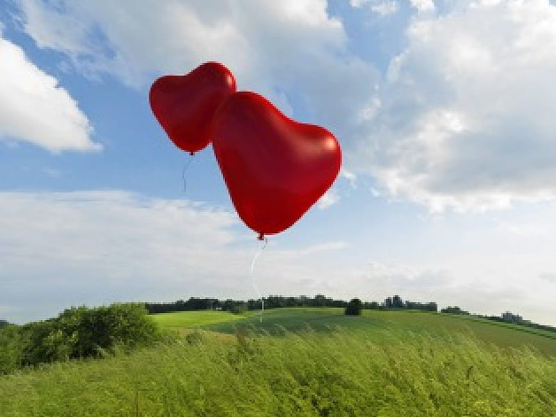 Two heart taking flight, skies, cloud, flight, love, heart, HD wallpaper