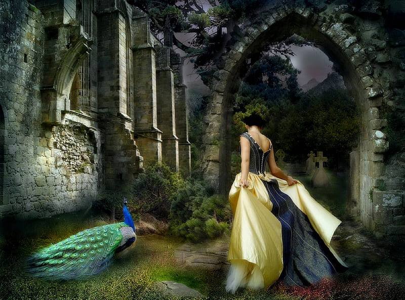 GOTHIC PARADISE, fantasy, gothic, dark, peacock, graveyard, castle, HD wallpaper