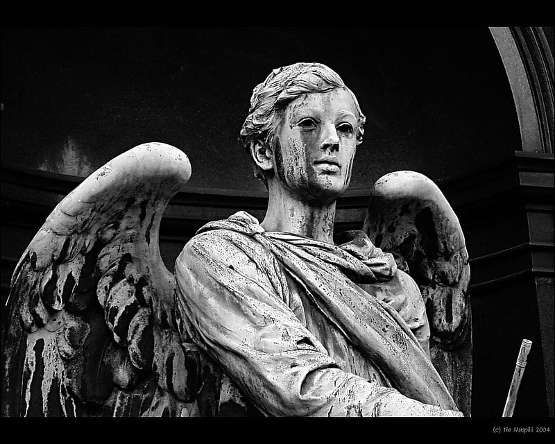 Statue, male, fantasy, angel, sculpture, HD wallpaper