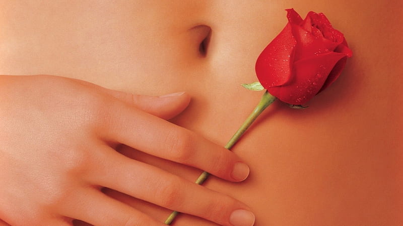 Bonito, red, belly button, rose, water droplets, nails, entropy, HD  wallpaper | Peakpx