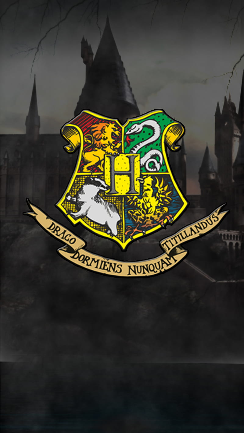 Hogwarts, draco, harmonie, harrypotter, ron, HD phone wallpaper | Peakpx