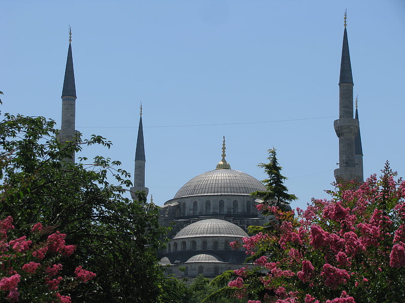 Blue Mosque - Istanbul, Turkey, mosque, turkey, blue, istanbul, HD