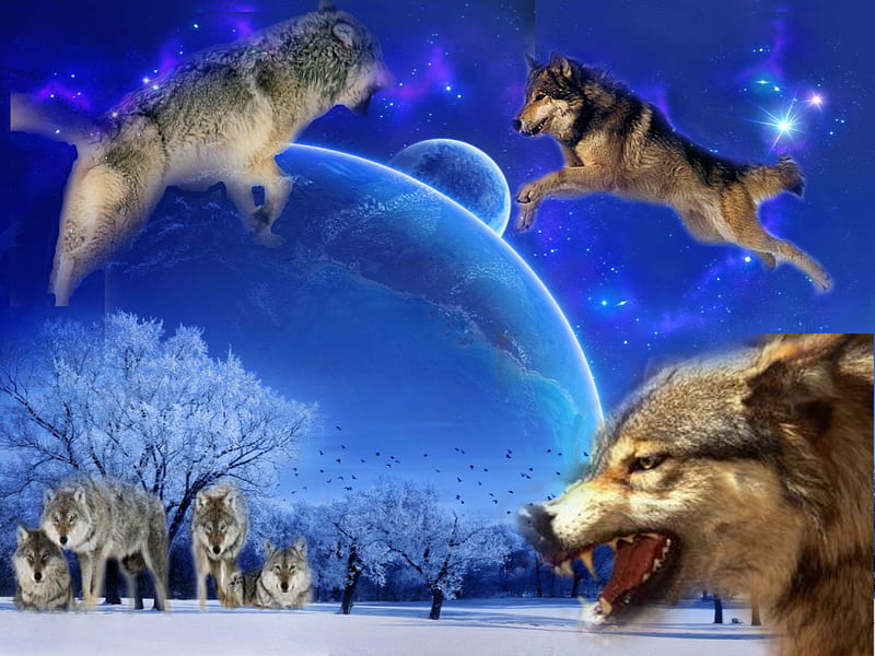 Wolf Fantasy, planets, snow, nature, wolves, sky, blue, winter, HD ...