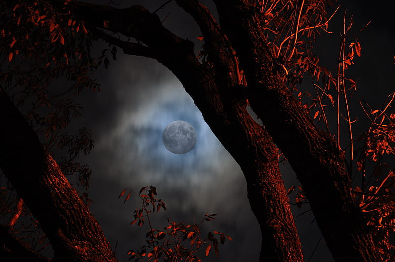 Creepy Moon, red, creepy, moon, halloween, full moon, blue, HD ...