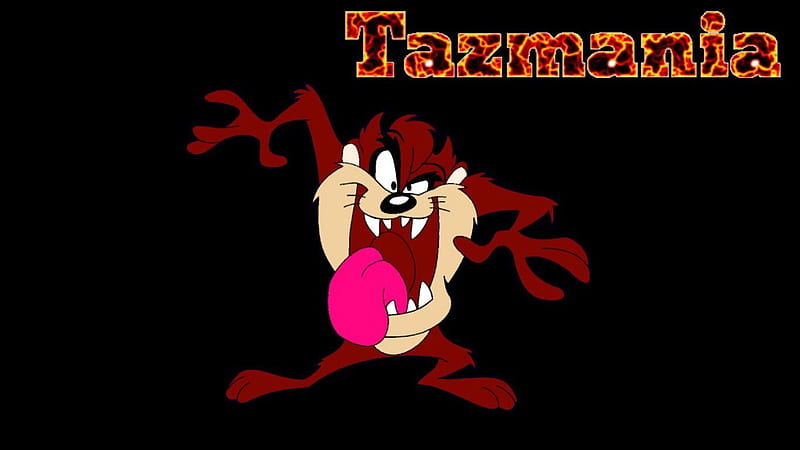Tazmania , tazmania, fun, cartoon, warner brothers, HD wallpaper