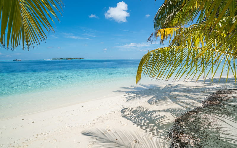 beach, ocean, palm trees, tropics, blue lagoon, boats, tropical island, summer, HD wallpaper